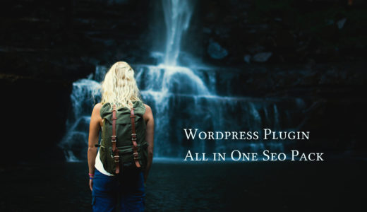 ワードプレスSEO対策の必須プラグイン【All in One Seo Pack】の導入と使用方法
